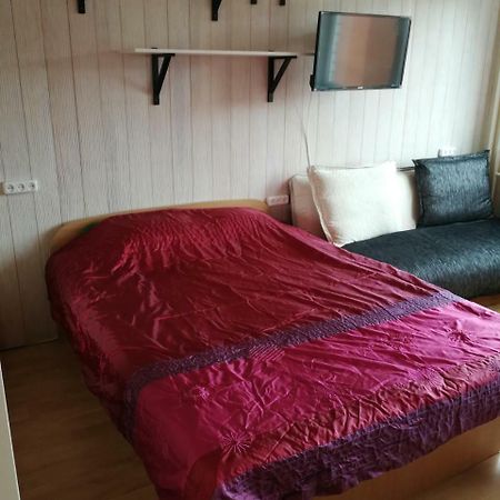 Flat, 1 Room, Study Panevėžys Eksteriør bilde