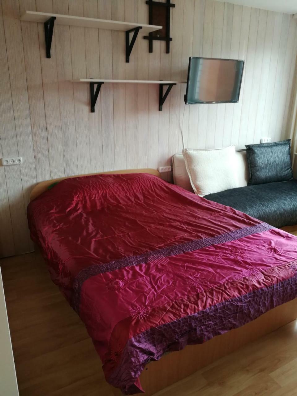 Flat, 1 Room, Study Panevėžys Eksteriør bilde